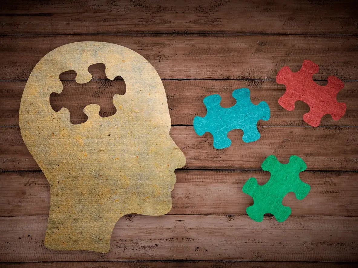 A wooden head with puzzle pieces in the shape of a human head.